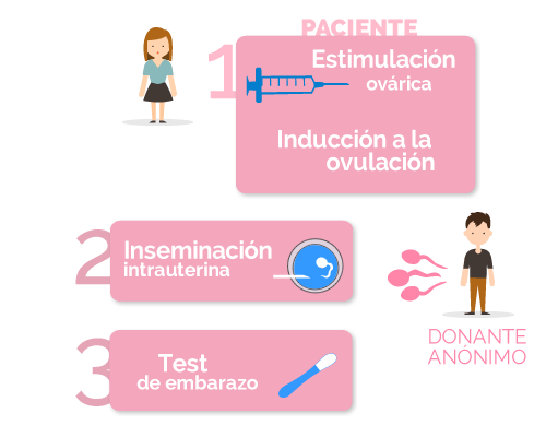Auto-inseminación artificial en casa con semen de donante y gestación  subrogada: soluciones a la polémica sobre los tratamientos de reproducción  asistida en madres solteras y parejas homosexuales en España