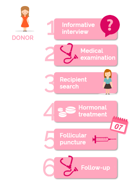 egg donation process