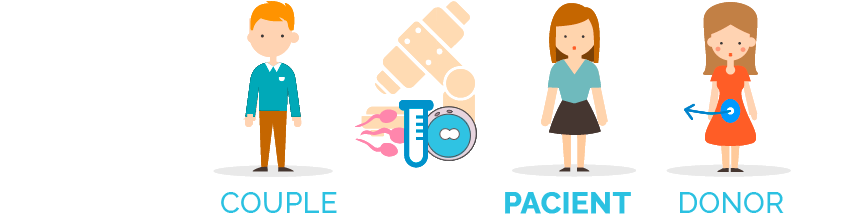 ovodonación o fecundación in vitro con donación de óvulos