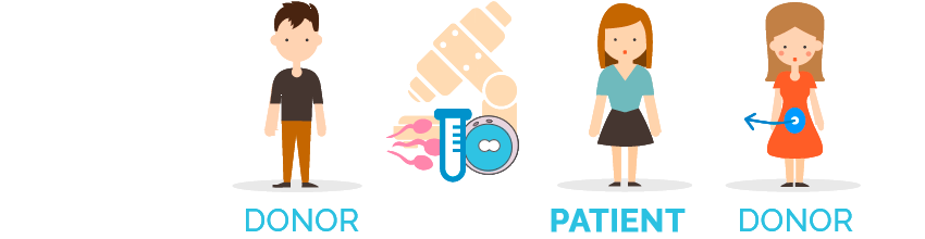 ovodonación o donación de óvulos con semen de donante